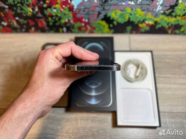 iPhone 12 Pro Max, 128 ГБ