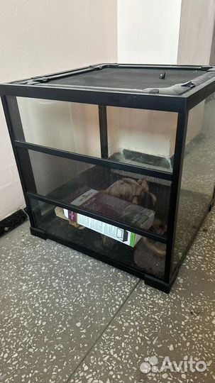 Террариум для рептилий