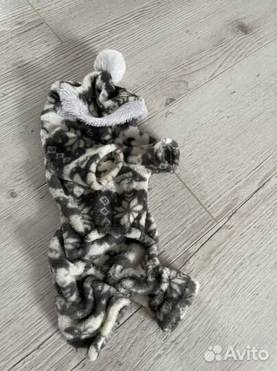 Одежда для собак