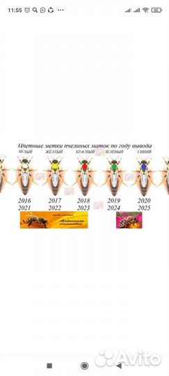 Мёд Разнотравие