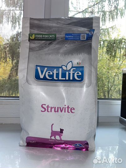 Корм для кошек