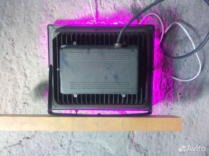 Прожектор фито для растений