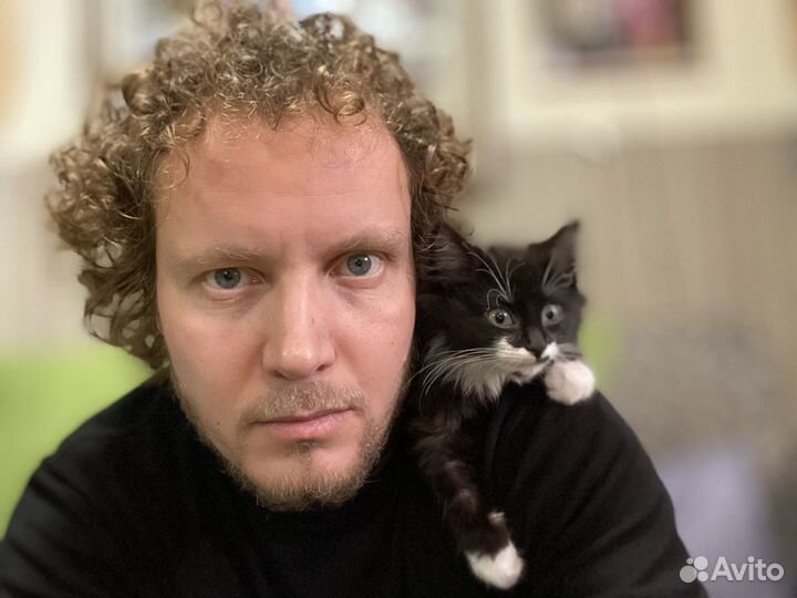 Видеооператор и монтажер