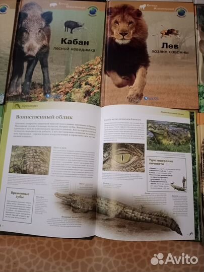 Книги о животных