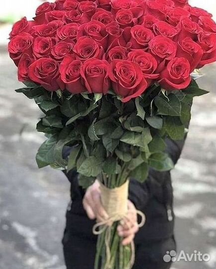 Высокие розы Гигантские розы 110