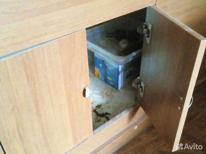 Аквариум с тумбой с крышкой