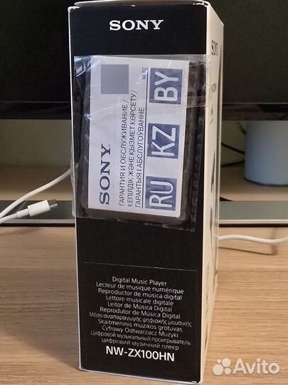 Плеер Sony NW-ZX100HN Walkman