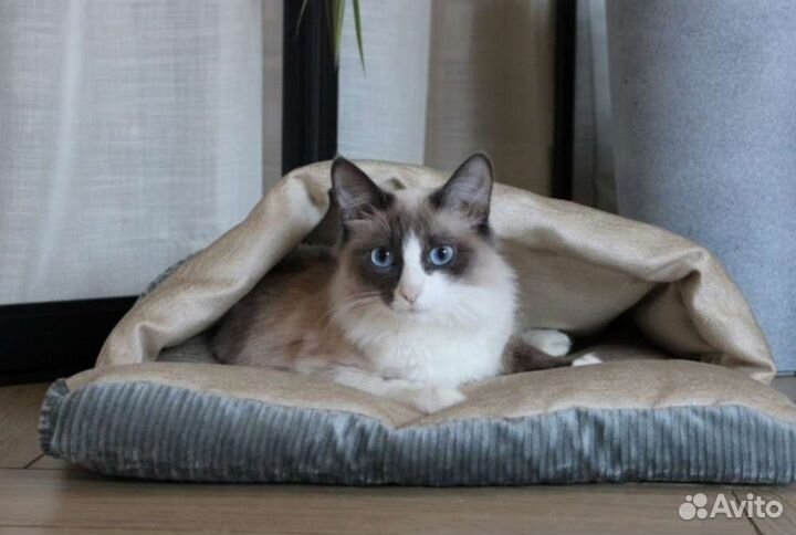 Лежанка норка, домик