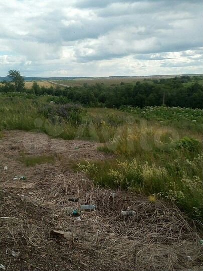 Участок 8 сот. (СНТ, ДНП)