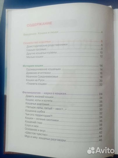 Широкина Е.В. 