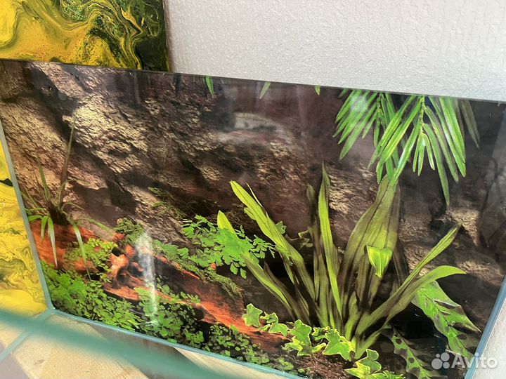 Аквариум со всеми комплектующими + корм, декорации