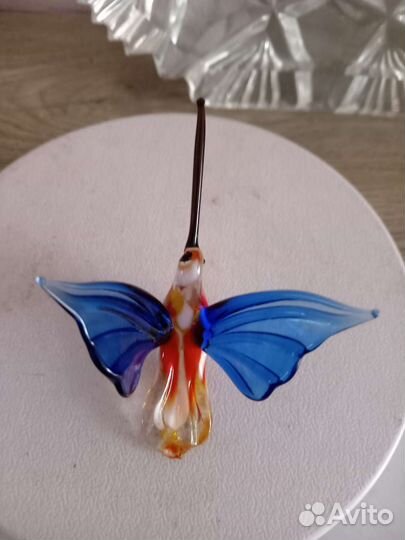 Колибри. Цветное стекло