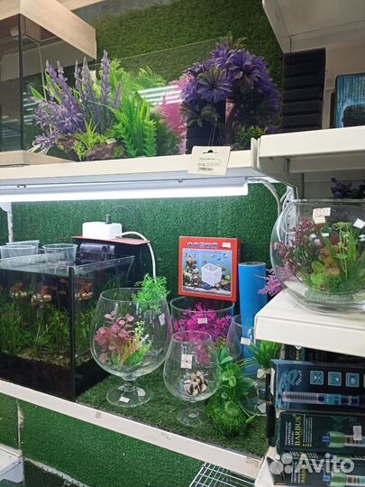 Аквариум