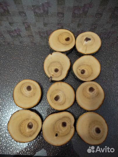 Торцевые спилы деревьев