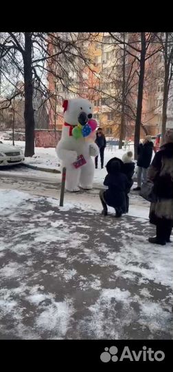 Белый мишка