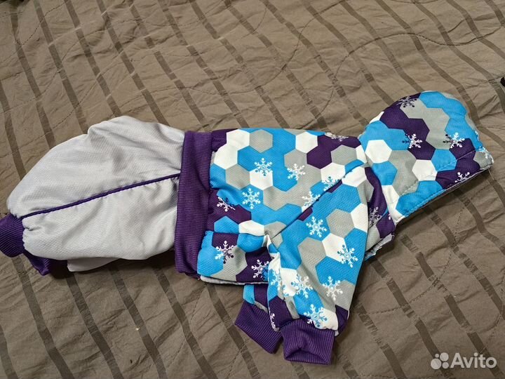 Одежда разная для собак мелких пород
