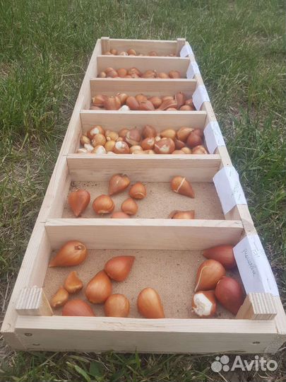 Ящик для хранения секционный