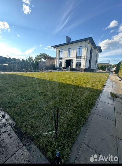 Рулонный газон