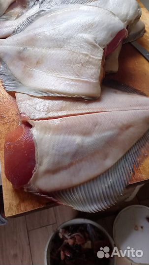 Камбала, Ёрш