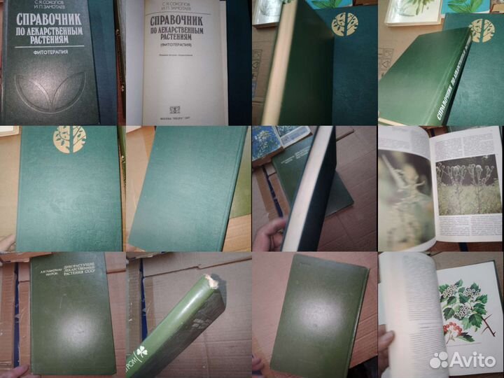 Лекарственные растения СССР и из применение