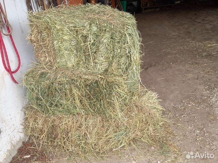 Сено укос 2023 года