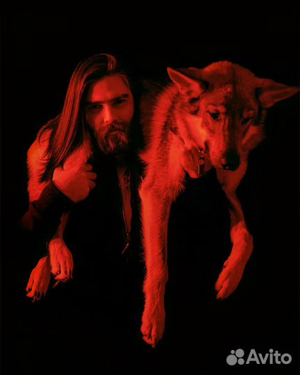 Кинолог I Зоопсихолог. Коррекция поведения собак