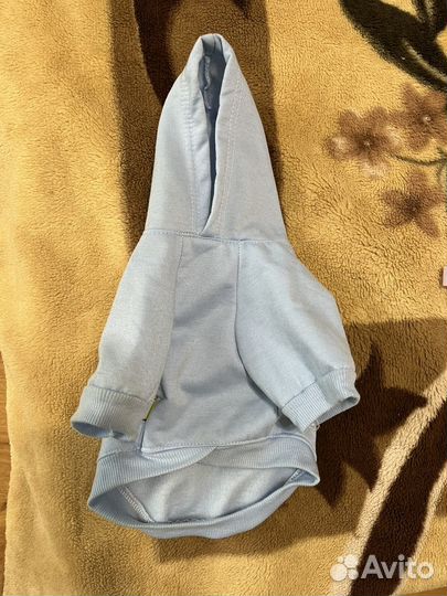 Одежда для кошек сфинкс