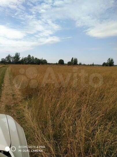 Участок 1,7 га (СНТ, ДНП)