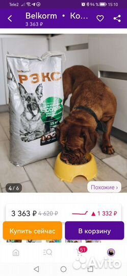 Сухой корм для собак