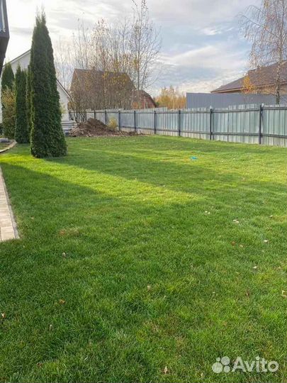 Укладка газона