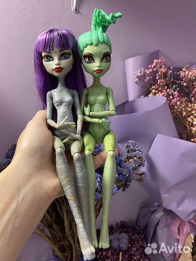 Куклы monster high