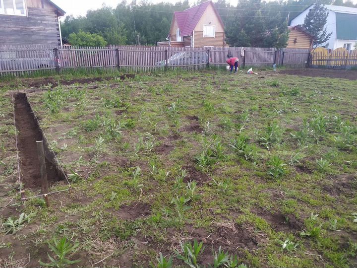 Участок 10 сот. (СНТ, ДНП)