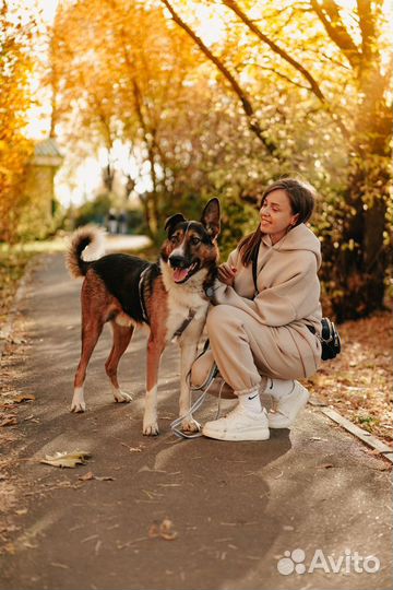 Большой, красивый и добрый Мартин