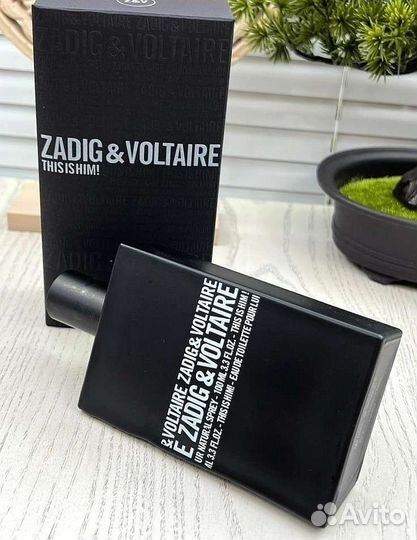 Zadig & Voltaire This is Him