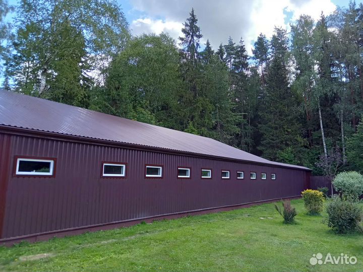 Гостиница для собак 