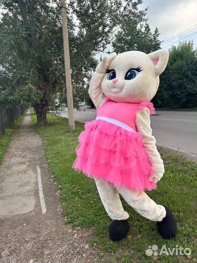 Услуги аниматора Кошечка Милашка