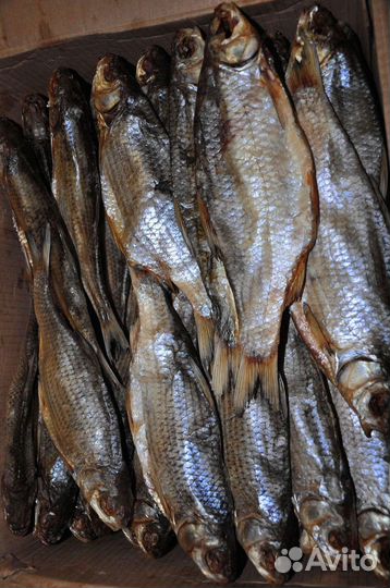 Вяленая вобла из Астрахани
