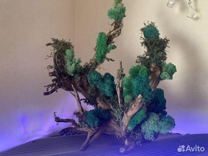 Украшение для дома