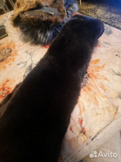 Меховые воротники