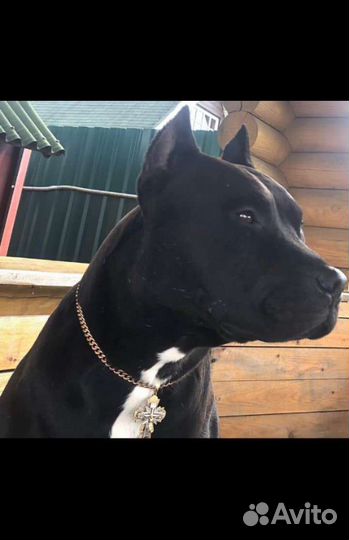 Решим Любую Проблему