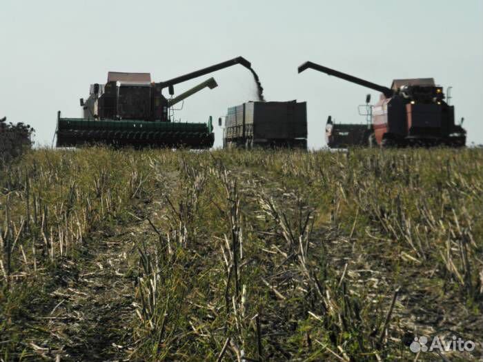 Грузоперевозки камаз