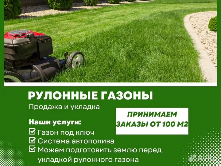Рулонный газон от производителя