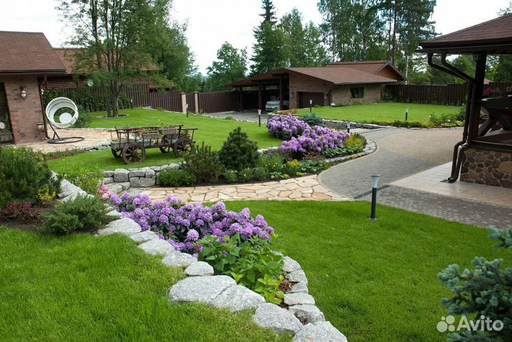 Газон рулонный мятлик