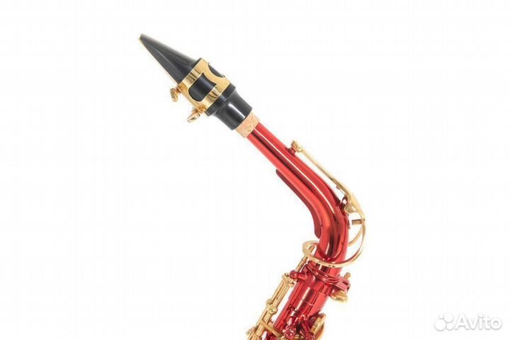 Саксофон альт Roy Benson AS-202R