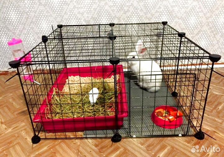 Манеж для животных