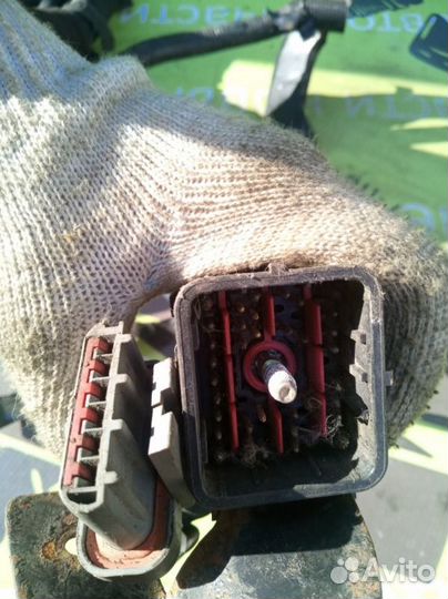 Коса подкапотная Ford Explorer U2 5.0 1998