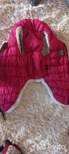 Одежда для собак