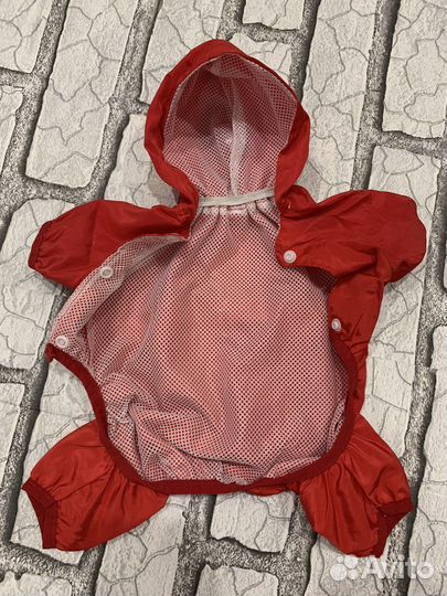 Плащевка для маленькой собачки