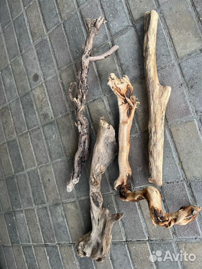 Коряги для аквариума