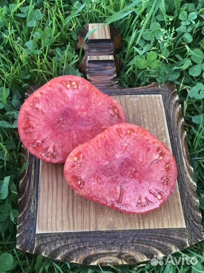 Коллекционные сорта томатов семена